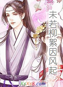 《未若柳絮因风起》小说封面