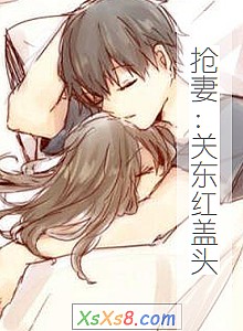 《抢妻:关东红盖头》小说封面