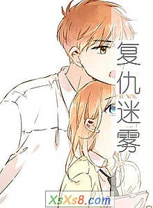 《复仇迷雾》小说封面