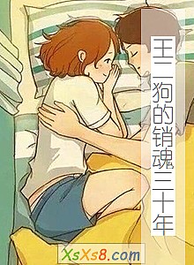 《王二狗的销魂三十年》小说封面