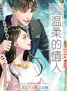 《温柔的情人》小说封面