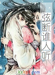 《弦断谁人听》小说封面