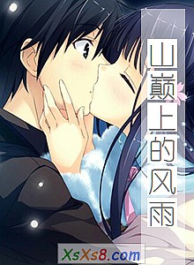 《山巅上的风雨》小说封面