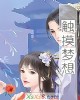 《触摸梦想》小说封面