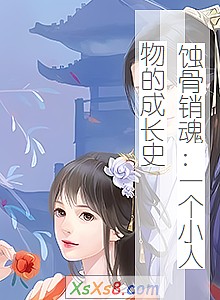 《蚀骨销魂:一个小人物的成长史》小说封面