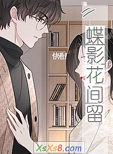 《蝶影花间留》小说封面