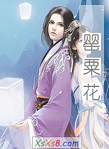 《罂粟花》小说封面