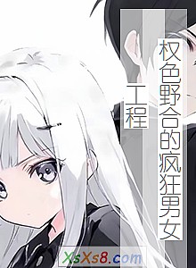《权色野合的疯狂男女工程》小说封面