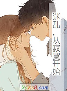 《迷乱,从寂寞开始》小说封面