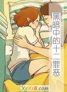 《黑暗中的十二罪恶》小说封面