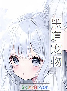 《黑道宠物》小说封面