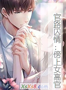 《官路囚情:傍上女高官》小说封面