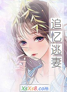 《追忆逃妻》小说封面