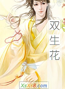 《双生花》小说封面