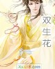 《双生花》小说封面