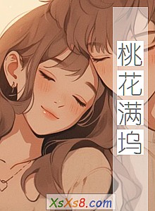 《桃花满坞》小说封面