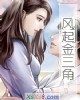 《风起金三角》小说封面