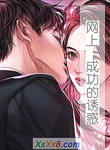 《网上 成功的诱惑》小说封面