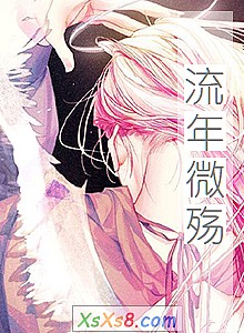 《流年微殇》小说封面