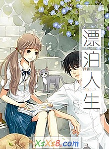 《漂泊人生》小说封面