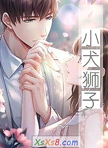 《小犬狮子》小说封面