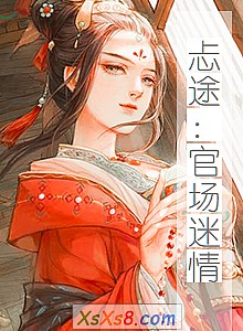 《忐途:官场迷情》小说封面