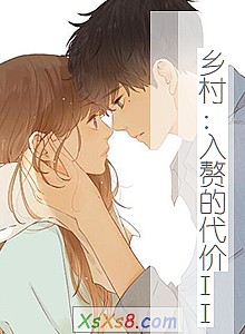 《乡村:入赘的代价II》小说封面