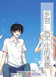 《乡官:挡不住的诱惑》小说封面