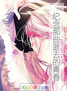 《纪念那些逝去的青春》小说封面