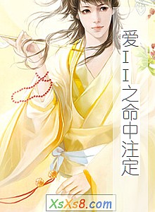 ����II֮����ע����С˵����