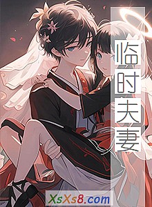 《临时夫妻》小说封面