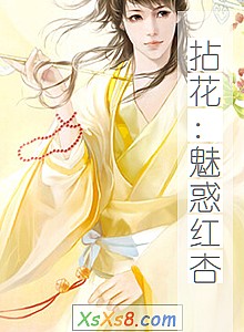 《拈花:魅惑红杏》小说封面