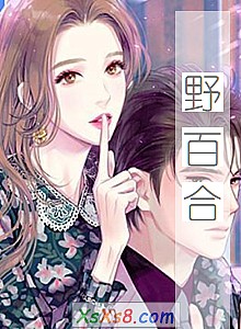 《野百合》小说封面
