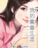 《我的~生涯》小说封面