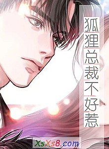 《狐狸总裁不好惹》小说封面