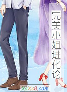 《完美小姐进化论》小说封面