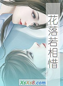 《花落若相惜》小说封面