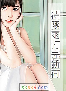 《待骤雨打完新荷》小说封面