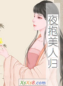 《夜抱美人归》小说封面