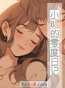 《小B的零度日记》小说封面