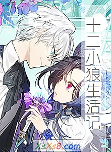 《十二小狼生活记》小说封面