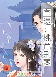 《官途:桃色荆棘》小说封面