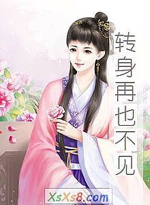 《转身再也不见》小说封面