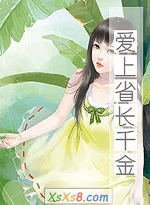 《爱上省长千金》小说封面