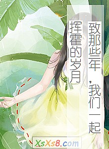 《致那些年,我们一起挥霍的岁月》小说封面