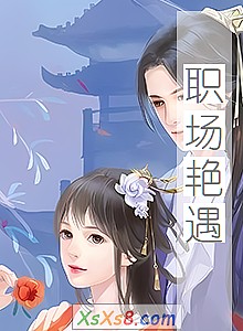 《职场艳遇》小说封面