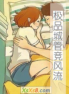 《极品城管竞风流》小说封面