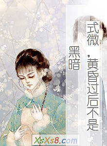 《式微,黄昏过后不是黑暗》小说封面