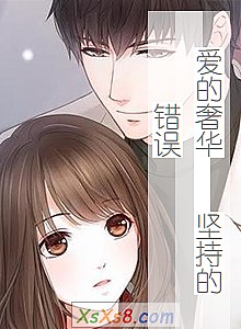 《爱的奢华 坚持的错误》小说封面