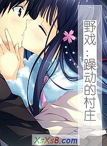 《野戏:躁动的村庄》小说封面